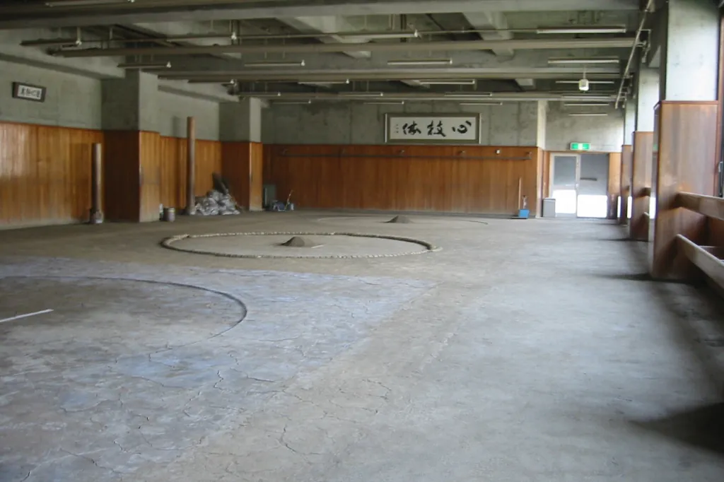 A large empty practice hall with a wooden wall and a circular ring marked on the clay floor